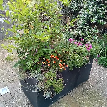 Les De Lyly Lejlighed *